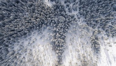 Snowy orman ve zemin ile pastoral kış manzara havadan görünümü