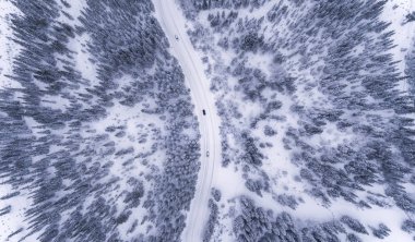 Ormandaki bir karlı yolda araba arabalar. kış manzara trafikte görünümünü. Güzel doğa.