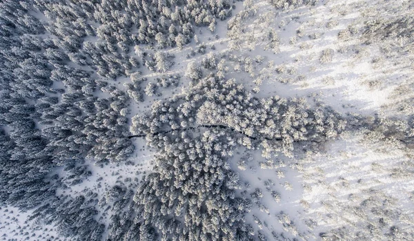 Widok Lotu Ptaka Rzeki Śnieżna Drzew Dzień Słoneczny Zimowy — Zdjęcie stockowe