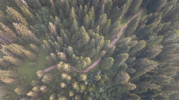 Ovanifrån Väg Som Löper Genom Dimmig Skog — Stockfoto