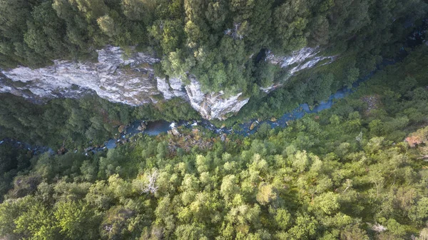 Top View Colorful Trees River Small Canyon — Stock Photo, Image