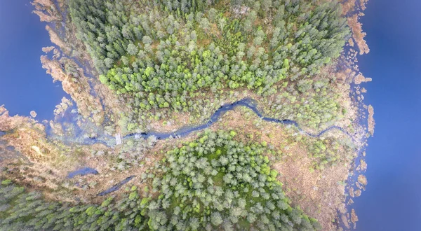 Colorful nature ecology scenery. Aerial view of green forest and river