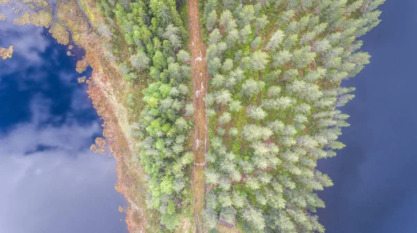 Vägen Går Genom Skogen Halv Med Sjöar Båda Sidor — Stockfoto