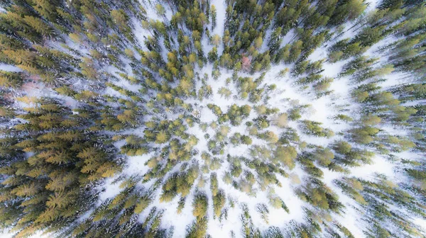 Luftaufnahme Der Schönen Verschneiten Winterlandschaft Winterwunderland — Stockfoto