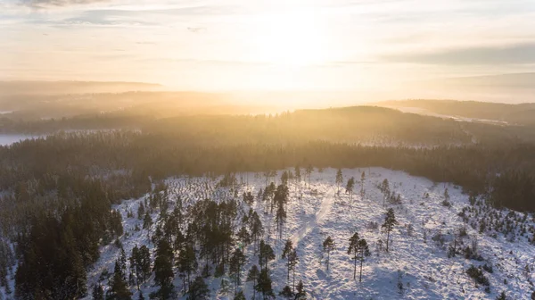Flygfoto Över Vackra Snöiga Vinterlandskap Vinterlandskap — Stockfoto