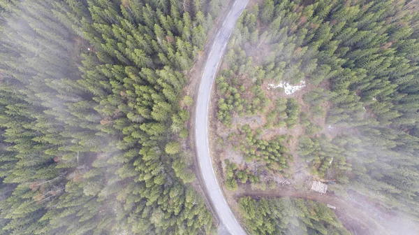 Bir Boş Yol Surround Yeşil Ağaçlar Bulutların Üzerinde Göster — Stok fotoğraf