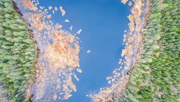 Flygfoto Över Blå Floden Och Gröna Skogen Från Ovan — Stockfoto