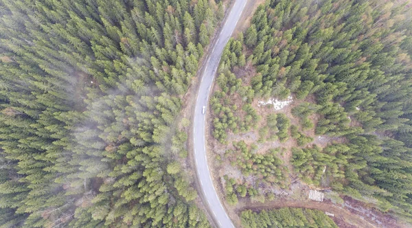 Car Passing Green Forest Top View Drone — Stock Photo, Image