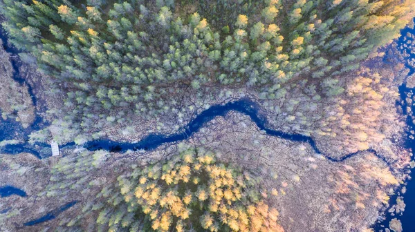 Vista Drone Pequeno Rio Passando Por Uma Bela Paisagem Cênica — Fotografia de Stock