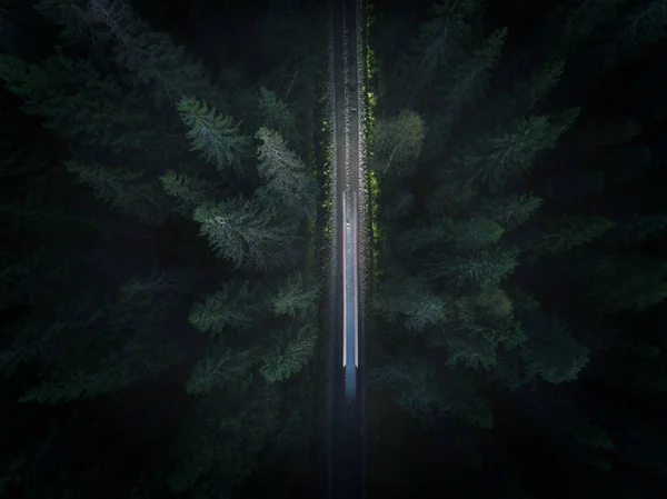 Длительное Воздействие Автомобиля Проезжающего Лесу Ночью Лицензионные Стоковые Изображения