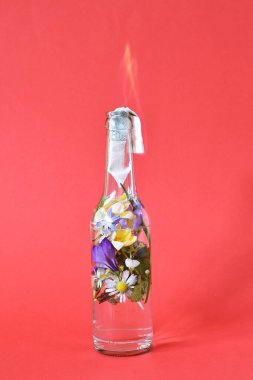 Renkli çiçeklerle dolu molotof kokteyli. Çiçeklerle dolu yanan bir yüzeye yansıtılan sevgi dolu direniş. Soyut eko-savaş.