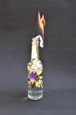 Renkli çiçeklerle dolu molotof kokteyli. Çiçeklerle dolu yanan bir yüzeye yansıtılan sevgi dolu direniş. Soyut eko-savaş.