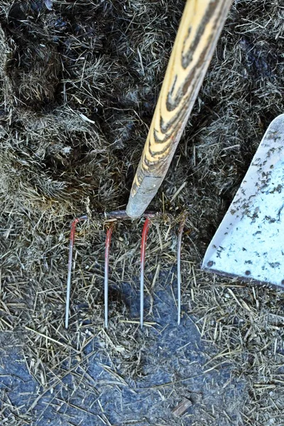 Bahçıvanlık araçları yakın görünüm