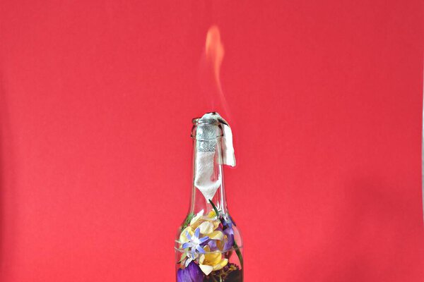 Molotov cocktail filled with colorful flowers - loving resistance depicted over a burning surface filled with flowers - abstract eco-fighting