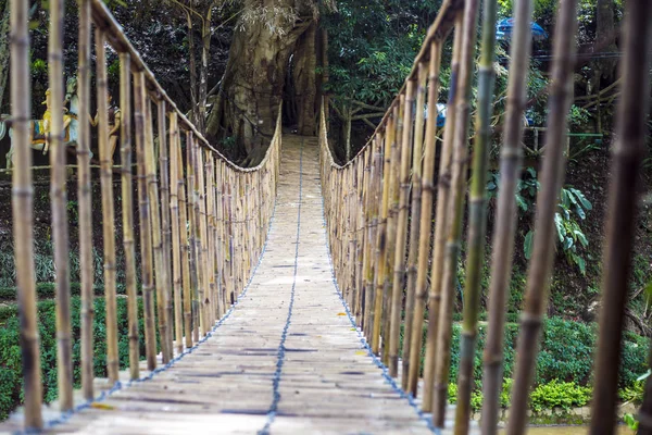 Bambu yaya asma köprü. Vietnam.