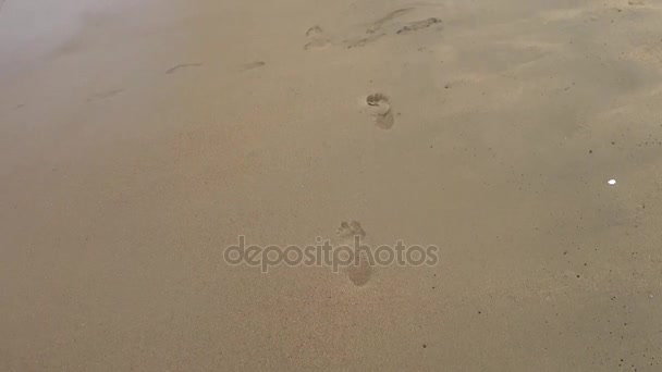 Steps baby on the beach barefoot. — Stock Video