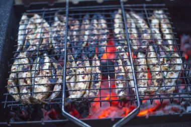 kızarmış balık ızgara kömürleri