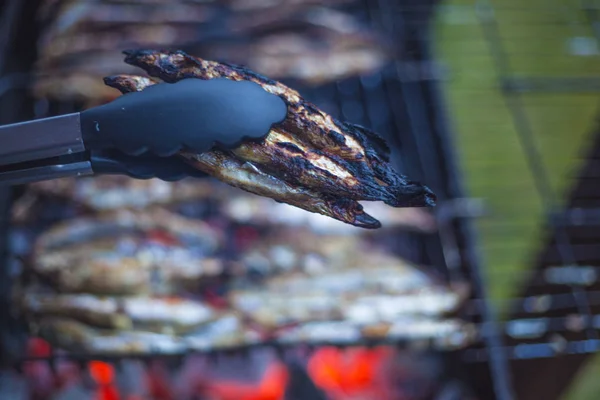 Capelim de peixe siberiano foi queimado em carvão vegetal . — Fotografia de Stock