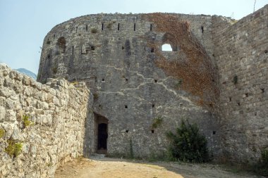 Tasarım bir kale taştan bir duvar üzerinde bir bitkinin