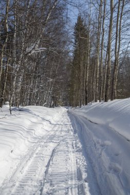 kar kış ormanda döşeli yol