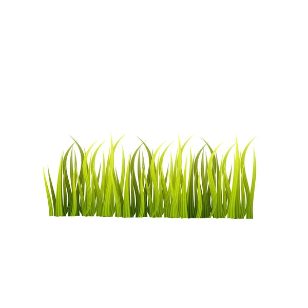 Вектор зеленої трави ізольований на білому тлі — стоковий вектор