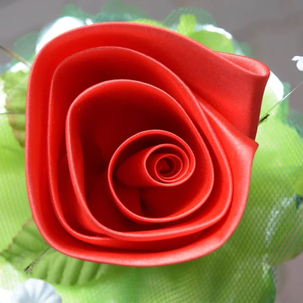 Rosa vermelha e pétala na vista superior — Fotografia de Stock
