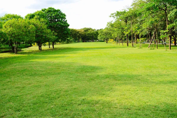 Garden with trees and sky — Stock Photo, Image