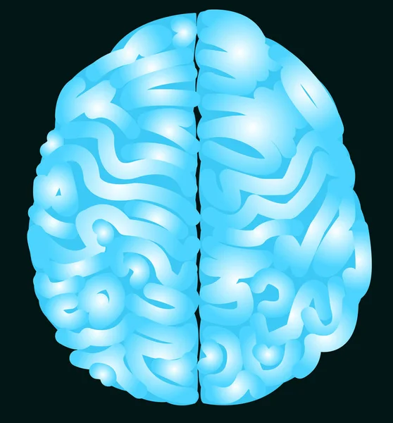 Cerebro azul con vector nervioso y fondo aislado — Vector de stock