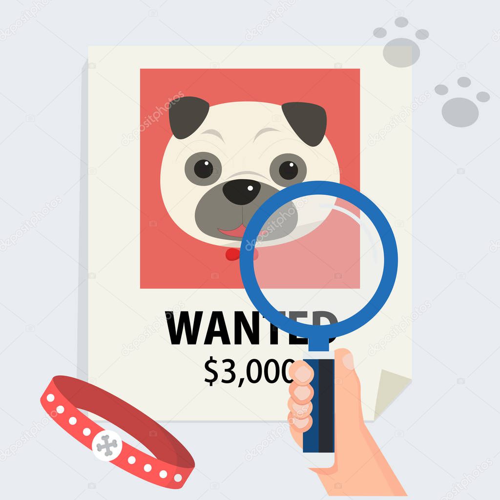 flat hand with magnification find cute dog from poster and footmark vector illustration.Missing dog and finding concept.