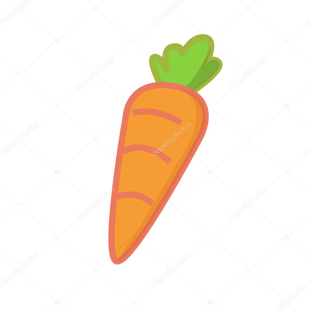Cute cartoon carrot vector with isolated white background.Fresh carrot.