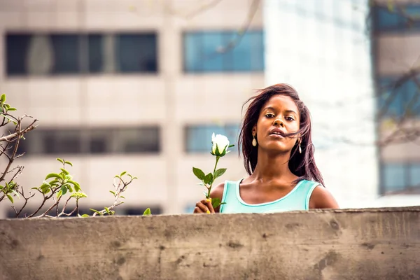 Jovem afro-americana mulher sentindo sua falta com rosa branca em Novo — Fotografia de Stock