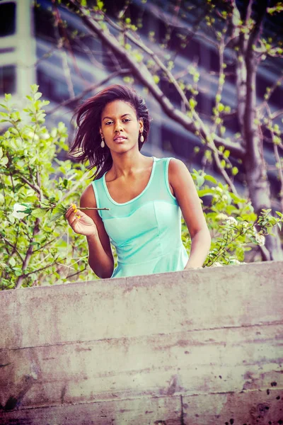 Jovem afro-americana mulher sentindo sua falta com rosa branca em Novo — Fotografia de Stock