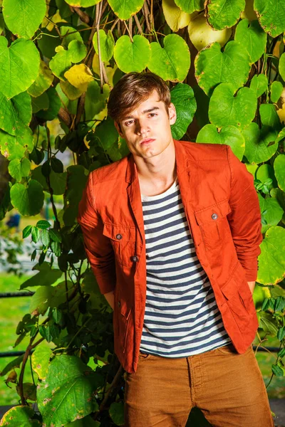 Genç bir adamın portresi. 