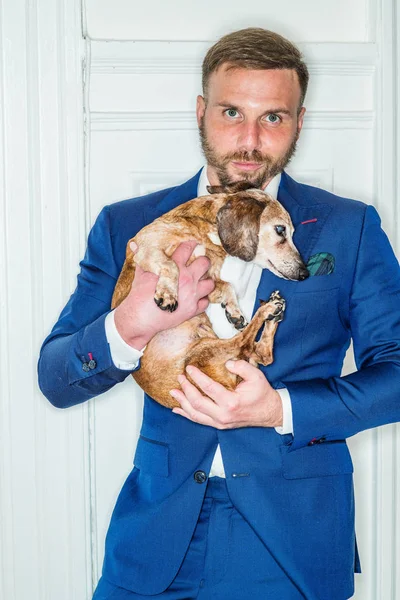 Portrait of young man with best friend - dog. Young American Man with beard, wearing blue suit, standing by white wooden door at home in New York City, holding Dachshund dog.