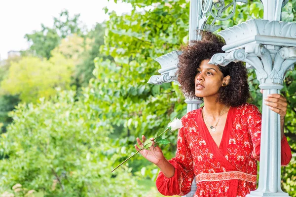 I missing you and waiting for you. Young African American Woman with afro curly hair, wearing red patterned dress, holding white rose, sitting at pavilion at Central Park, New York City, looking away