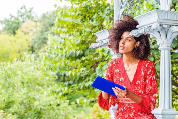 Young Mixed Race Afro Amerikaanse Vrouw Reis Ontspannen Central Park — Stockfoto