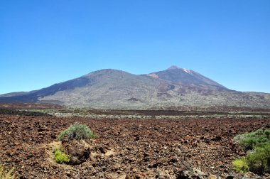 Volkan Teide Tenerife rocky dağları arasında dağ yolu