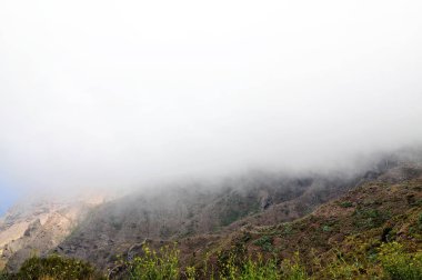 Tenerife dağlarında gizemli sis.