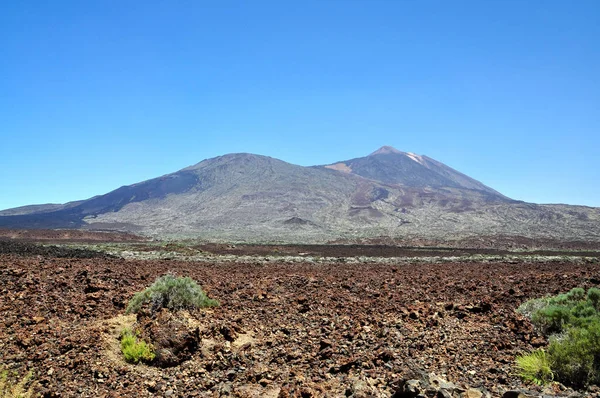 Volkan Teide Tenerife rocky dağları arasında dağ yolu