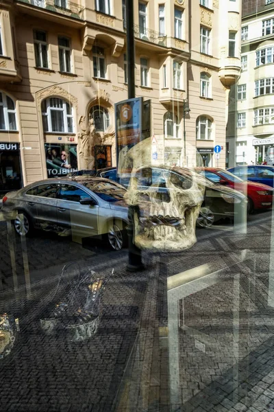 Praga, Republika Czeska - 25 czerwca 2016: szkieletowych głowy i ustalana na ulicy sklepowej. — Zdjęcie stockowe