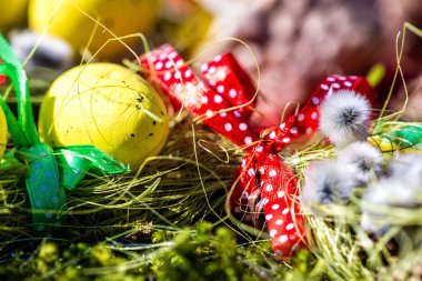 Yumurta ve kedi-söğüt-yeşil yosun ile Paskalya dekorasyon.