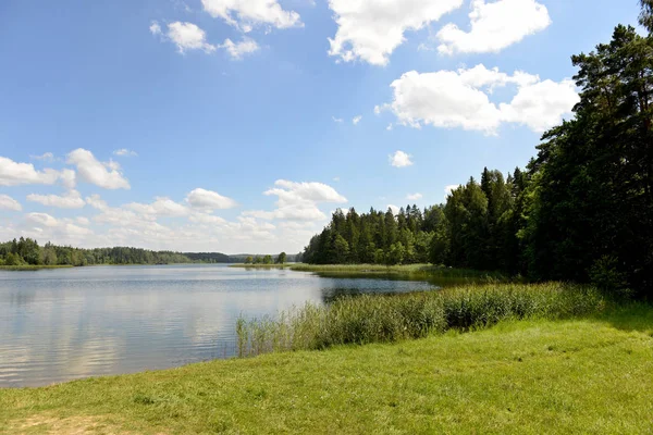 화창 한 날 숲으로 둘러싸인 호수. — 스톡 사진