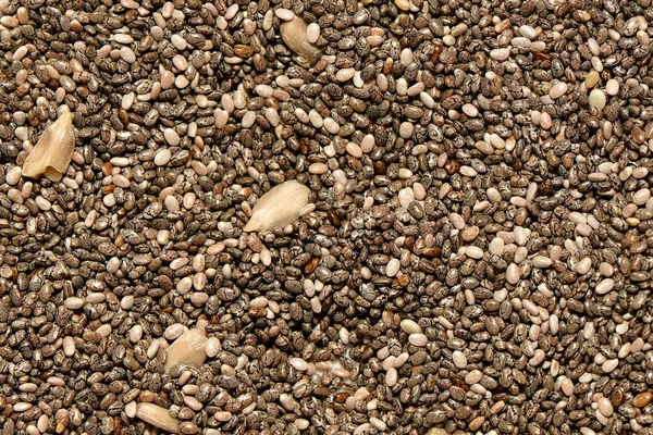 Food ingredients close up photography -  chia seeds.