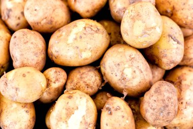 Bir yığın patates pazarında Satılık