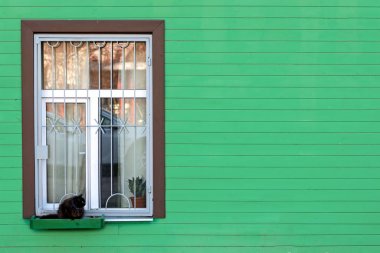 Yeşil ev pencere kutusuna kedi oturuyor.