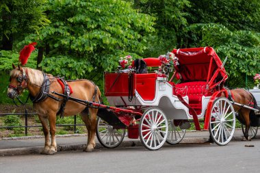 New York, Usa - 6 Haziran 2019: New York 'taki Central Park' ta müşterileri bekleyen at arabaları