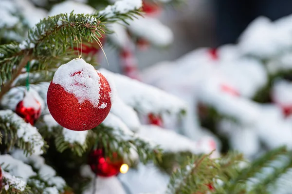 Decoraciones coloridas en ramas de árboles de Navidad cubiertas de nieve —  Fotos de Stock