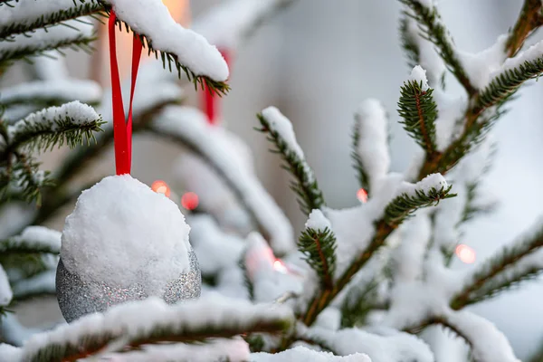 Decoraciones coloridas en ramas de árboles de Navidad cubiertas de nieve —  Fotos de Stock