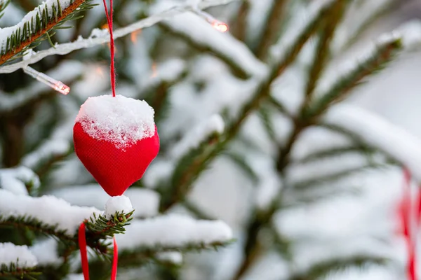 Decoraciones coloridas en ramas de árboles de Navidad cubiertas de nieve —  Fotos de Stock