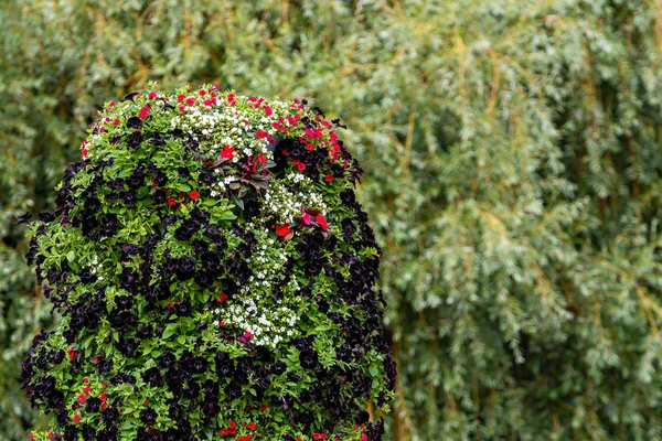 Detail okrasných keřů s květinami na pozadí rozmazaného parku s kopírovacím prostorem — Stock fotografie